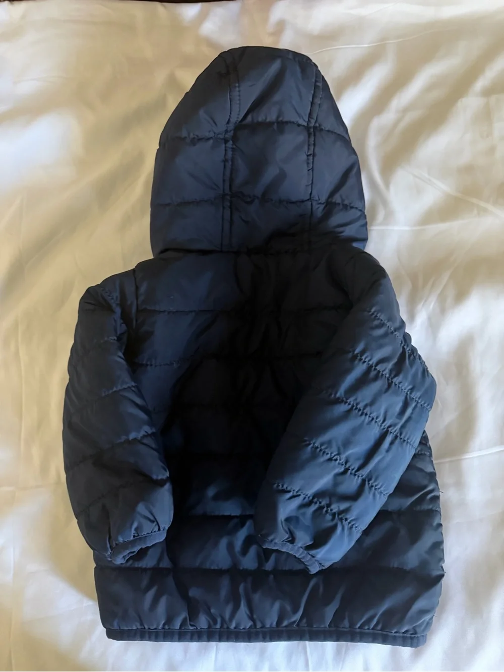 Carter's Navy Puffer Jacket with Blue Lining and Hood